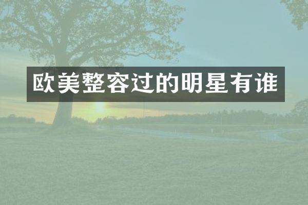 欧美整容过的明星有谁