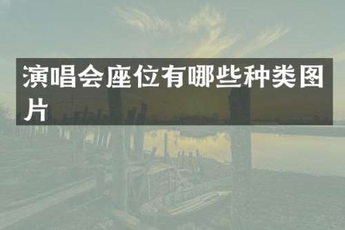 演唱会座位有哪些种类图片