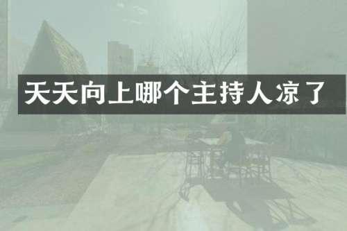 天天向上哪个主持人凉了