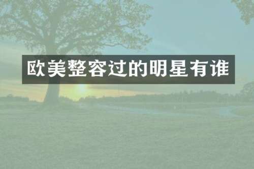 欧美整容过的明星有谁