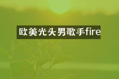欧美光头男歌手fire