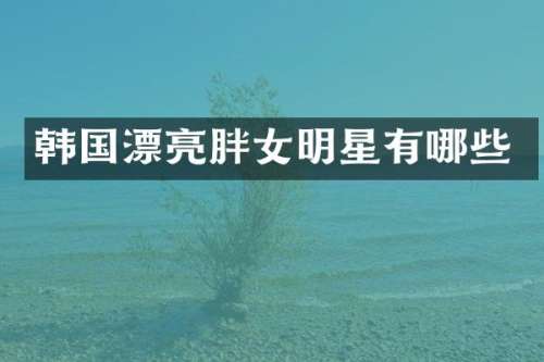 韩国漂亮胖女明星有哪些