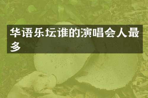 华语乐坛谁的演唱会人最多