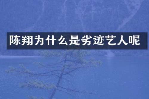 陈翔为什么是劣迹艺人呢