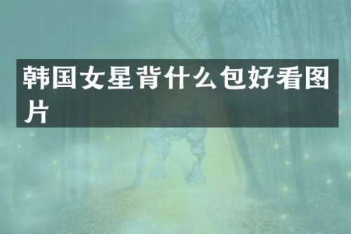 韩国女星背什么包好看图片