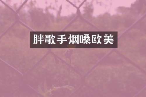 胖歌手烟嗓欧美