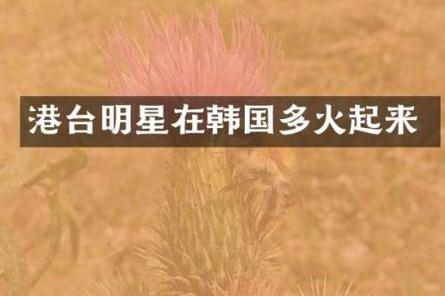 港台明星在韩国多火起来