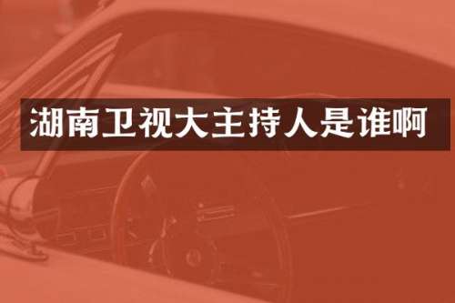 湖南卫视大主持人是谁啊