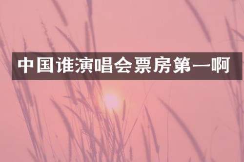 中国谁演唱会票房第一啊