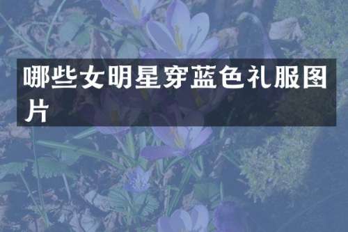 哪些女明星穿蓝色礼服图片