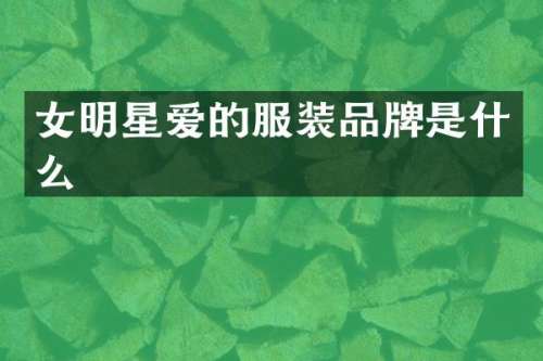 女明星爱的服装品牌是什么