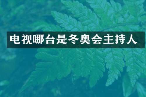 电视哪台是冬奥会主持人