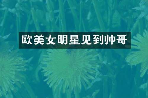 欧明星见到帅哥