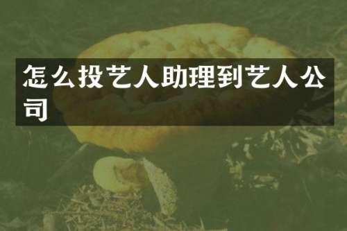 怎么投艺人助理到艺人公司