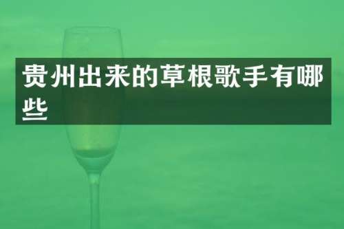 贵州出来的草根歌手有哪些