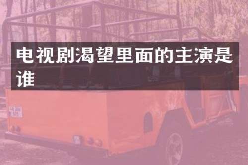 电视剧渴望里面的主演是谁