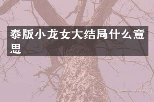 泰版大结局什么意思