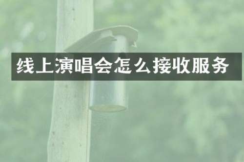 线上演唱会怎么接收服务