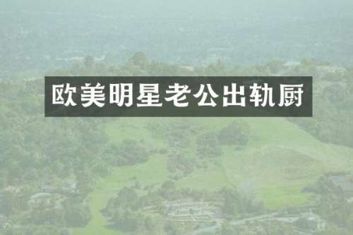 欧美明星老公出轨厨