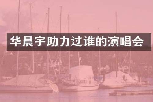 华晨宇助力过谁的演唱会