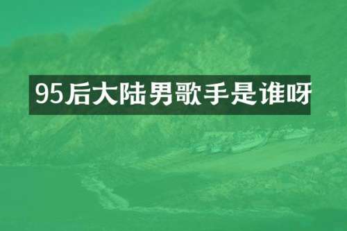 95后大陆男歌手是谁呀