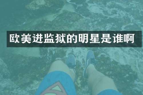 欧美进监狱的明星是谁啊