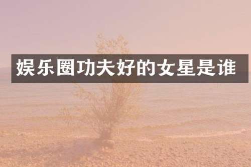 娱乐圈功夫好的女星是谁