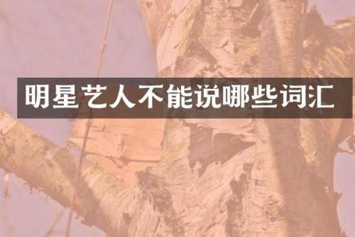 明星艺人不能说哪些词汇