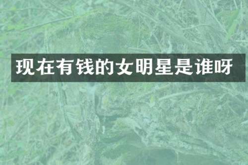 现在有钱的女明星是谁呀