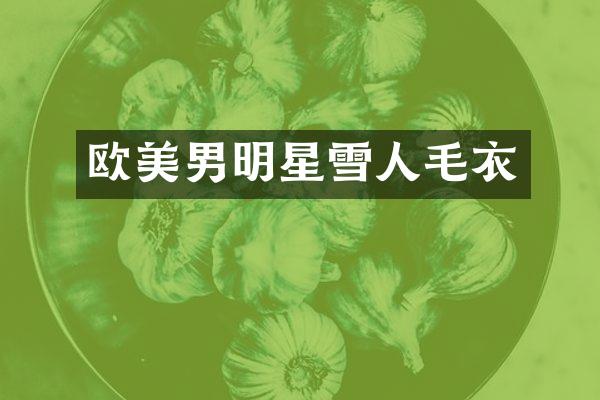 欧美男明星雪人毛衣