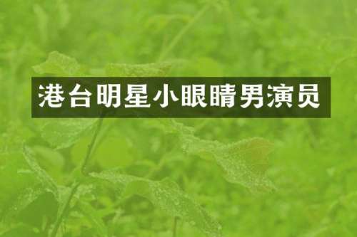 港台明星小眼睛男演员
