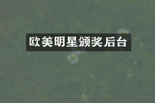 欧美明星颁奖后台