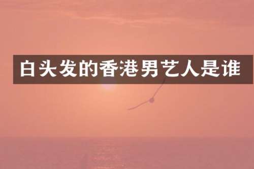 白头发的香港男艺人是谁