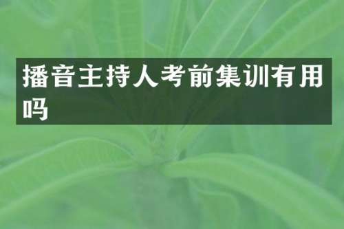 播音主持人考前集训有用吗