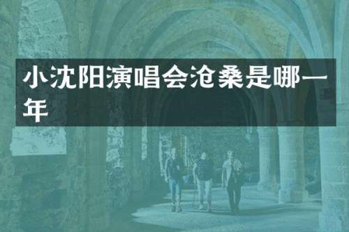 小沈阳演唱会沧桑是哪一年