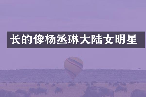 长的像杨丞琳大陆女明星