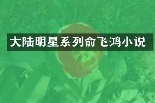 大陆明星系列俞飞鸿小说