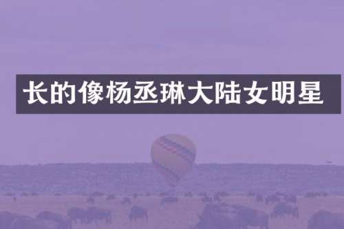 长的像杨丞琳大陆女明星