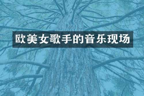 欧歌手的音乐现场