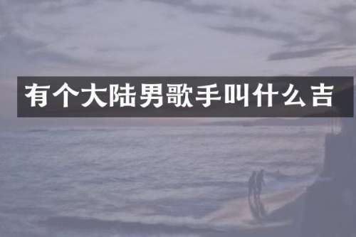 有个大陆男歌手叫什么吉