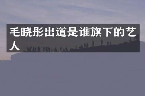 毛晓彤出道是谁旗下的艺人