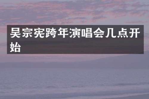 吴宗宪跨年演唱会几点开始