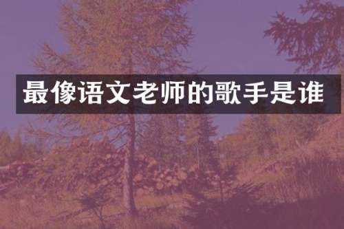 最像语文老师的歌手是谁