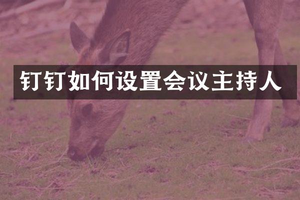 钉钉如何设置会议主持人