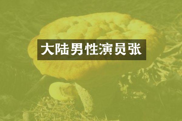 大陆男性演员张