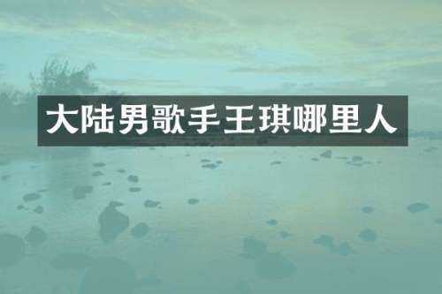 大陆男歌手王琪哪里人