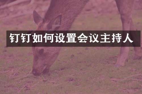 钉钉如何设置会议主持人