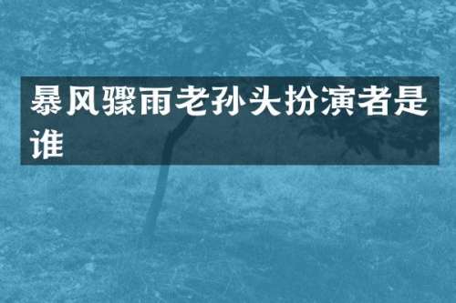 暴风骤雨老孙头扮演者是谁
