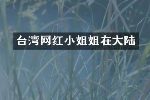 台湾网在大陆