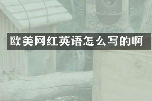 欧美网红英语怎么写的啊